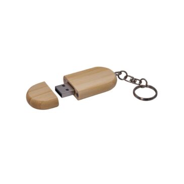 USB INFIS